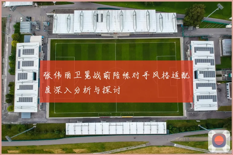 张伟丽卫冕战前陪练对手风格适配度深入分析与探讨